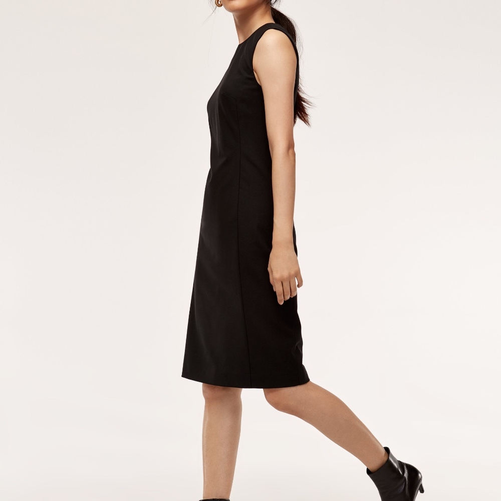 Aritzia BABATON Terado Shift Dress